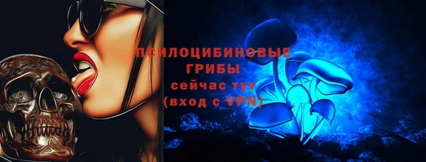 меф Ладушкин