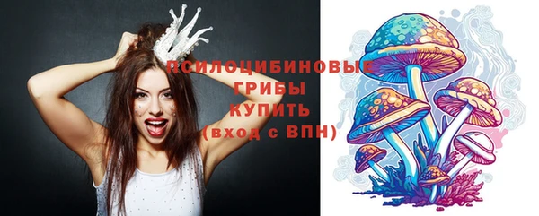 соль ск Лабытнанги