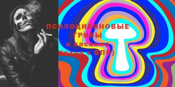 хмурый Лагань