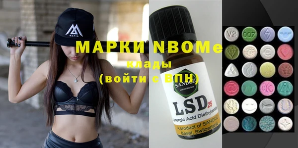 хмурый Лагань
