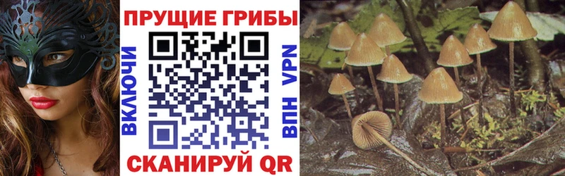 сайты даркнета клад  Чаплыгин  Псилоцибиновые грибы Magic Shrooms  где купить наркоту 
